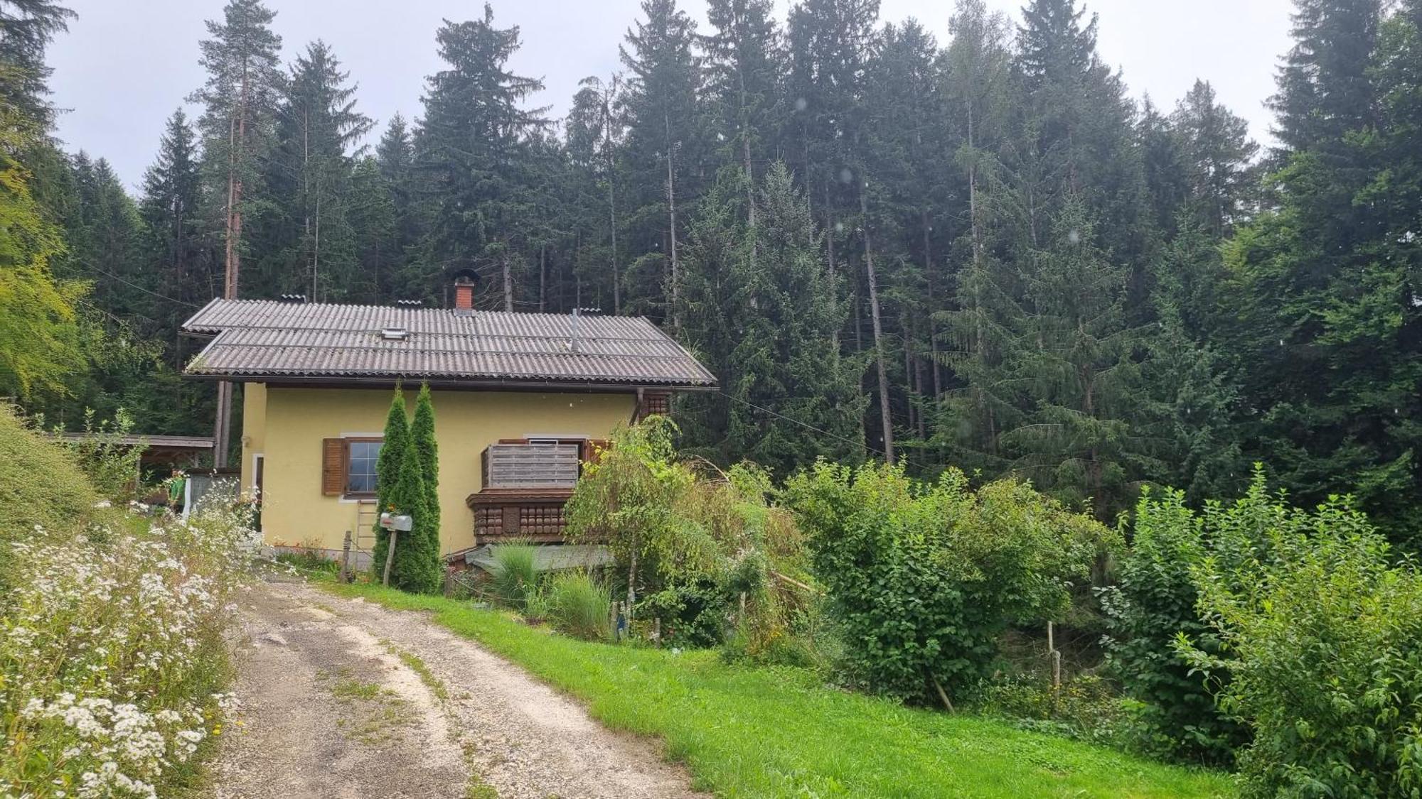 Fridas Place - Der Blick Ueber Ganz Villach - 160 M2 Ferienoase - Ganzes Haus Bis Zu 8 Personen Exterior foto